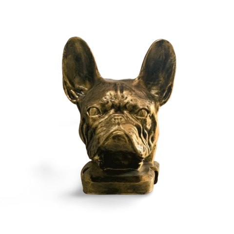 Buldog francuski Buldog francuski