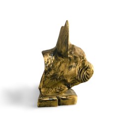 Buldog francuski