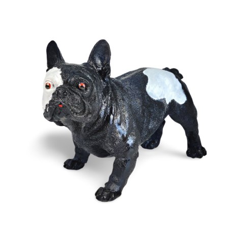 Buldog francuski Buldog francuski