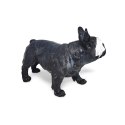 Buldog francuski