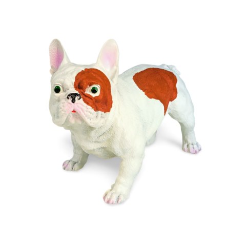 Buldog francuski Buldog francuski