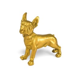 Buldog mały