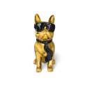 Buldog w okularach