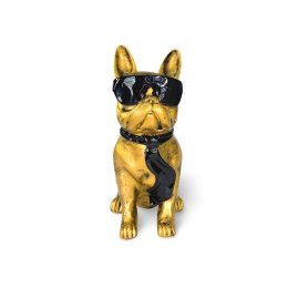 Buldog w okularach