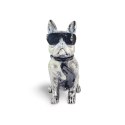 Buldog w okularach