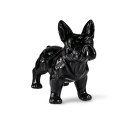 Buldog