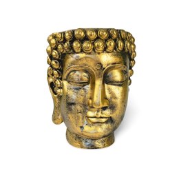 Donica Budda