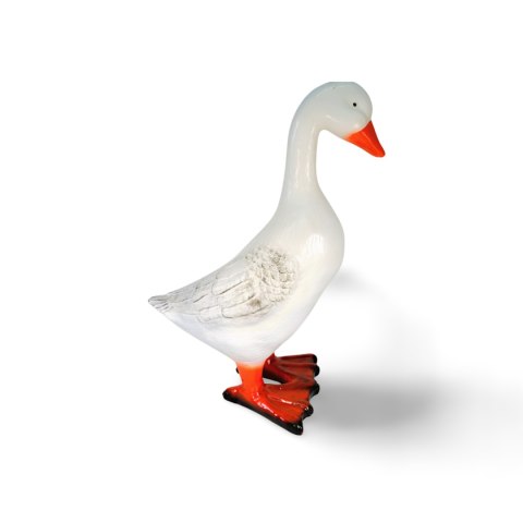Gęś duża Gęś duża