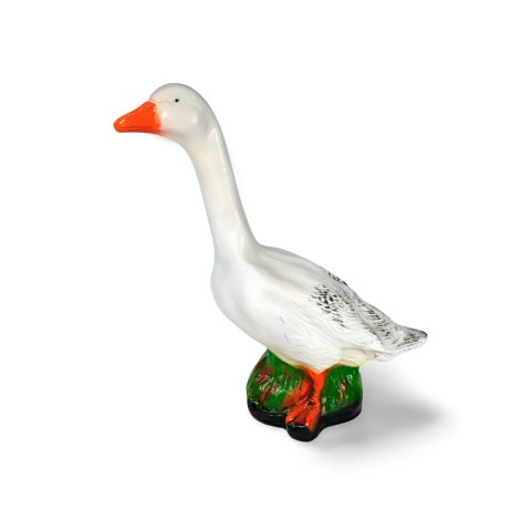Gęś średnia Gęś średnia