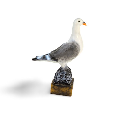 Gołąb Gołąb