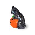 Kot na dyni lampion, halloween