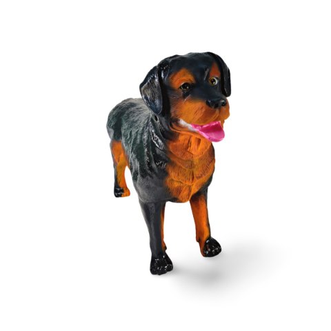 Pies Rottweiler Pies Rottweiler