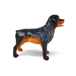 Pies Rottweiler