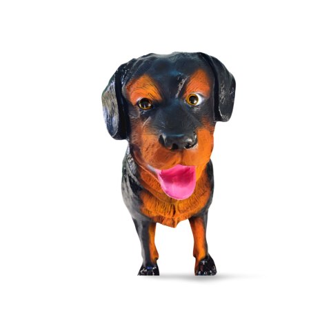Pies Rottweiler Pies Rottweiler