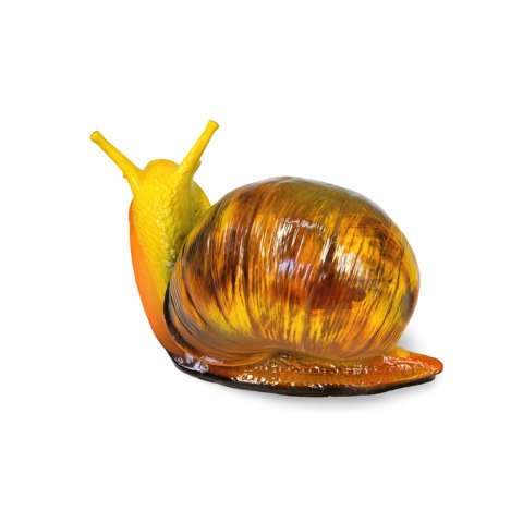 Ślimak Ślimak