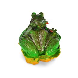 Żaby