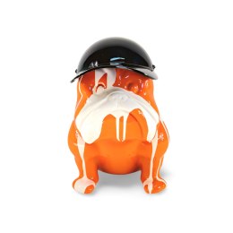 Buldog w czapce