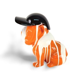 Buldog w czapce