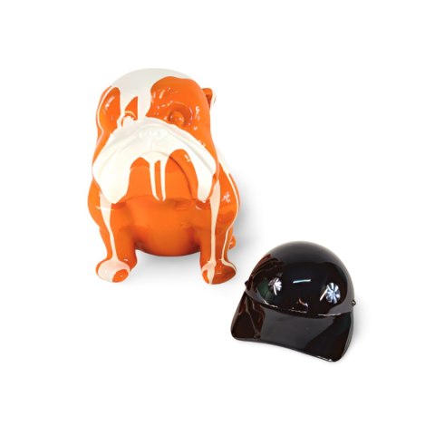 Buldog w czapce Buldog w czapce