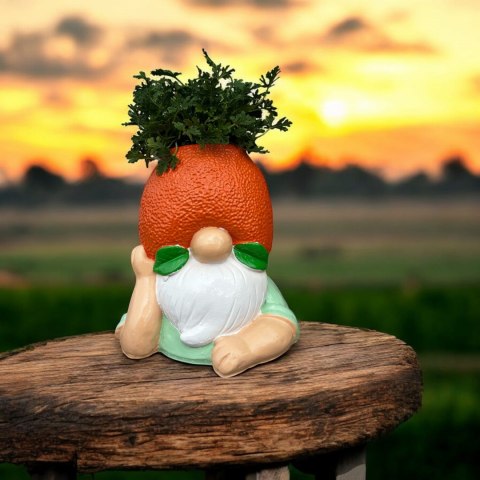 Donica pomarańcz Donica pomarańcz