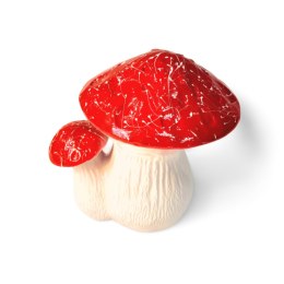 Grzyby