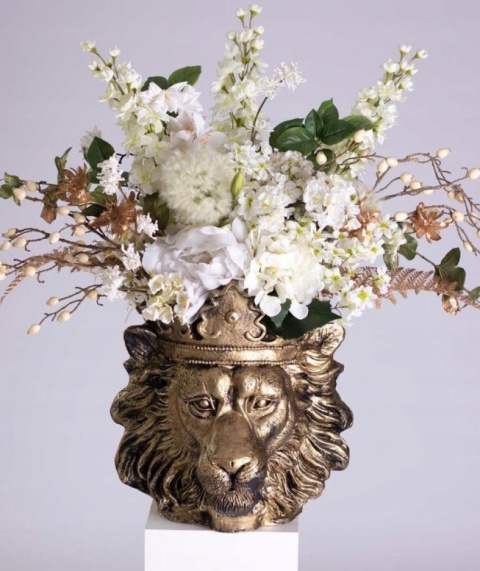 Lew donica duża Lew donica duża