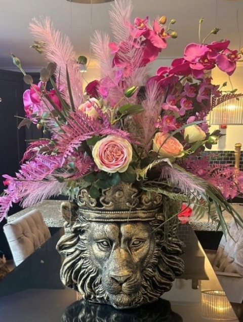 Lew donica duża Lew donica duża