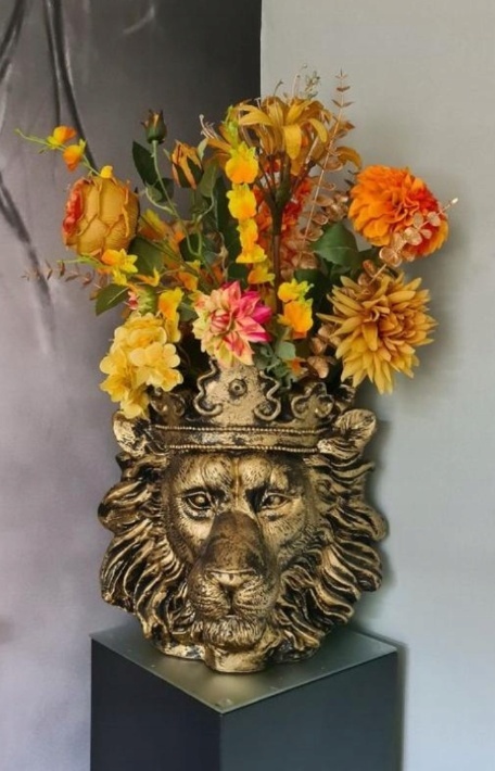 Lew donica duża Lew donica duża